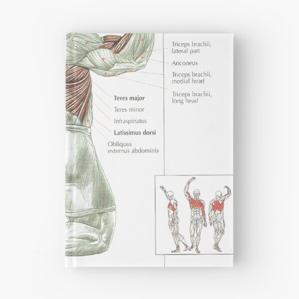 Item preview, Pull-Up - Exercise Diagram designed and sold by superfitstuff.