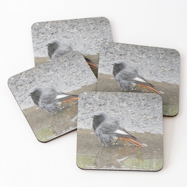 Item preview, Black red tail in the bath designed and sold by TinequeW.