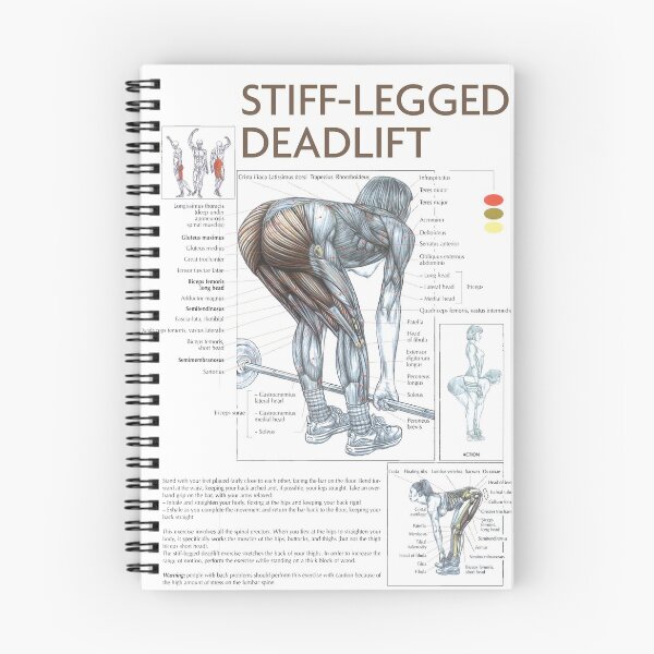 Item preview, Stiff-Legged Deadlift - Exercise Diagram designed and sold by superfitstuff.