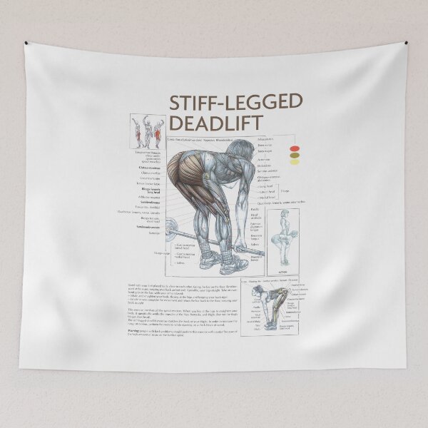 Item preview, Stiff-Legged Deadlift - Exercise Diagram designed and sold by superfitstuff.