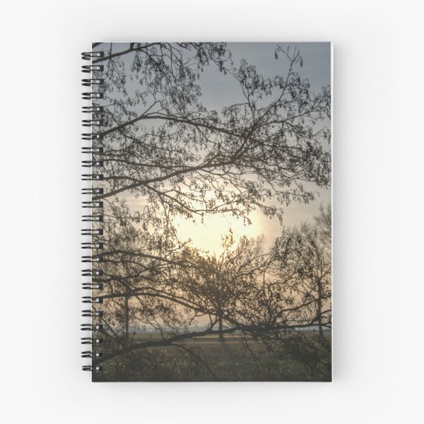 Item preview, Sereen Winter Sunset Silhouette through Bare Trees designed and sold by ShotsbyDesiree.