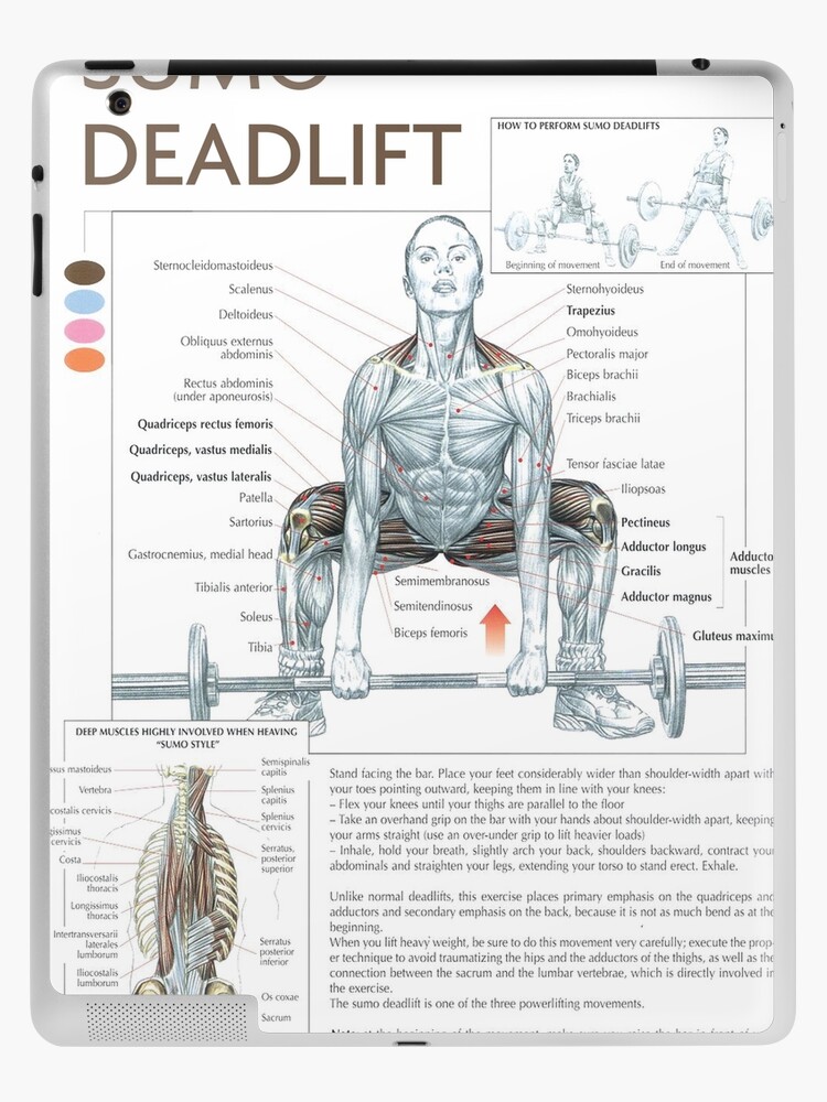 The Complete Guide to the Sumo Deadlift – Fit Super-Humain