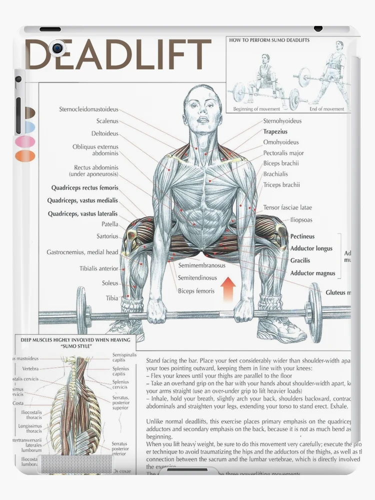 How To Do The Sumo Deadlift Technique - AskMen