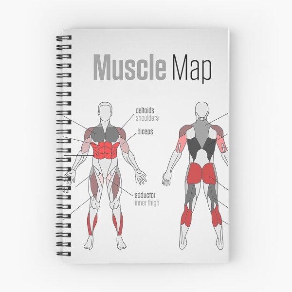 Item preview, Muscle Map designed and sold by superfitstuff.