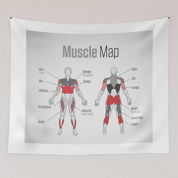 Item preview, Muscle Map designed and sold by superfitstuff.