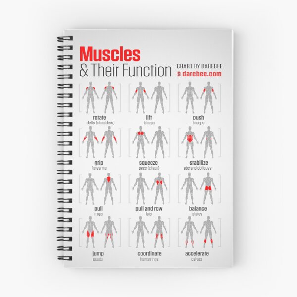 Item preview, Muscles And Their Function designed and sold by superfitstuff.
