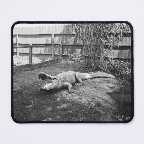 Item preview, Los Angeles Alligator Farm designed and sold by The Paper Archive.