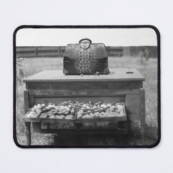 Item preview, Los Angeles Alligator Farm designed and sold by The Paper Archive.