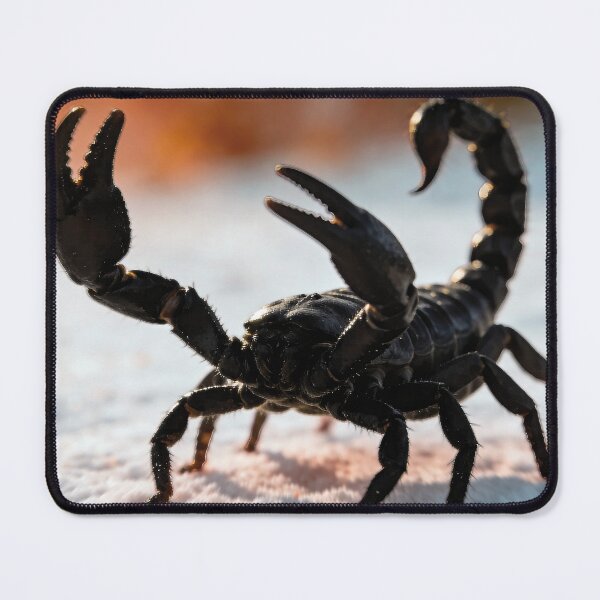 Item preview, Black scorpion ready to attack! - Digital watercolor designed and sold by Alan-David.