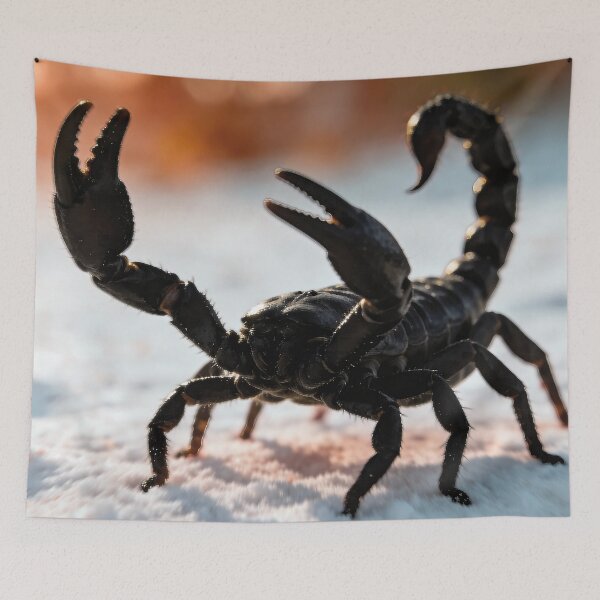 Item preview, Black scorpion ready to attack! - Digital watercolor designed and sold by Alan-David.