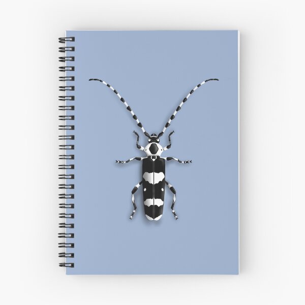 Item preview, Banded Alder Borer (Rosalia funebris) designed and sold by thebugladies.