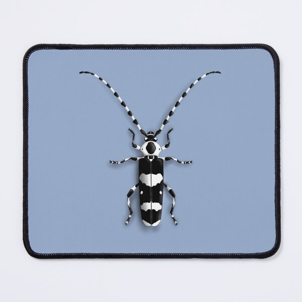 Item preview, Banded Alder Borer (Rosalia funebris) designed and sold by thebugladies.
