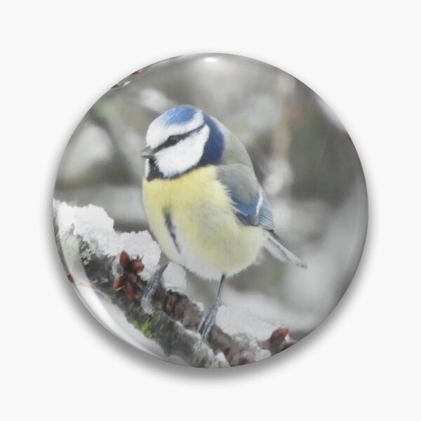 Item preview, Blue tit under the snow designed and sold by TinequeW.