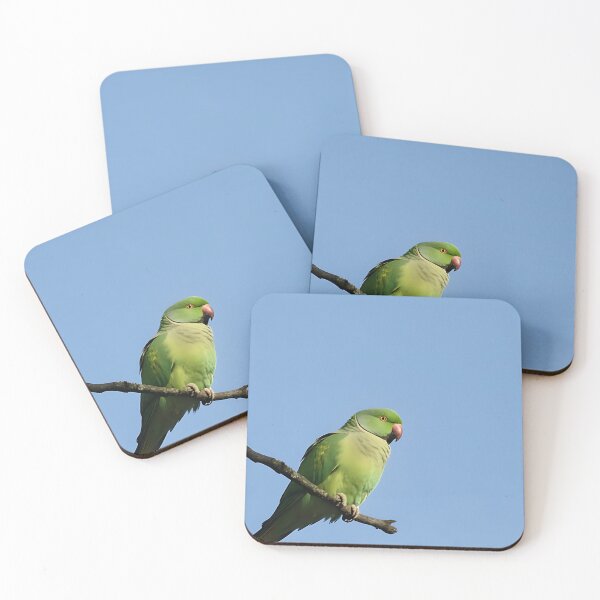 Item preview,  Vibrant Ring-Necked Parakeet Portrait | Original Bird Photography | Nature Lover's Gift designed and sold by CamirCreations.