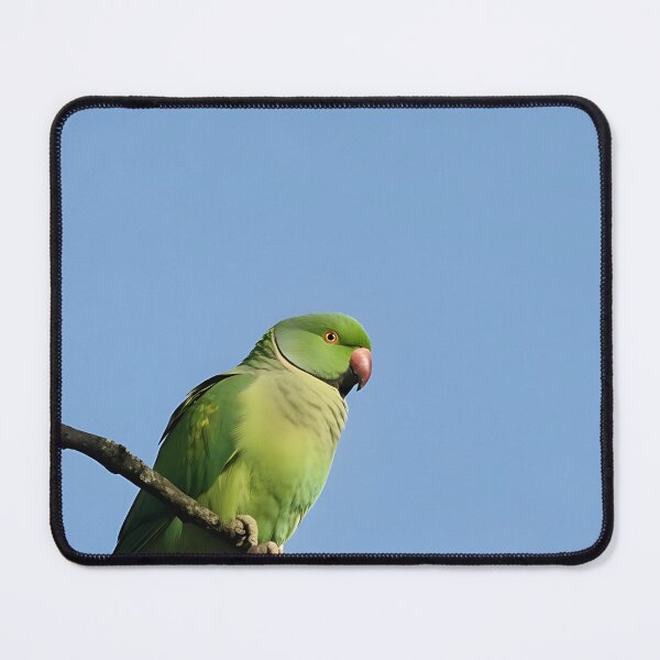 Item preview, Vibrant Ring-Necked Parakeet Portrait | Original Bird Photography | Nature Lover's Gift designed and sold by CamirCreations.