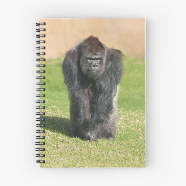 Item preview, Silverback Authority designed and sold by rawshutterbug.