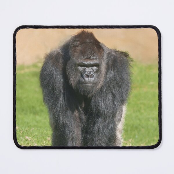 Item preview, Silverback Authority designed and sold by rawshutterbug.