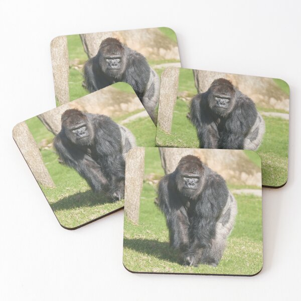 Item preview, Silverback Gorilla – A Moment of Power designed and sold by rawshutterbug.