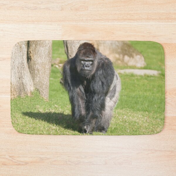 Item preview, Silverback Gorilla – A Moment of Power designed and sold by rawshutterbug.