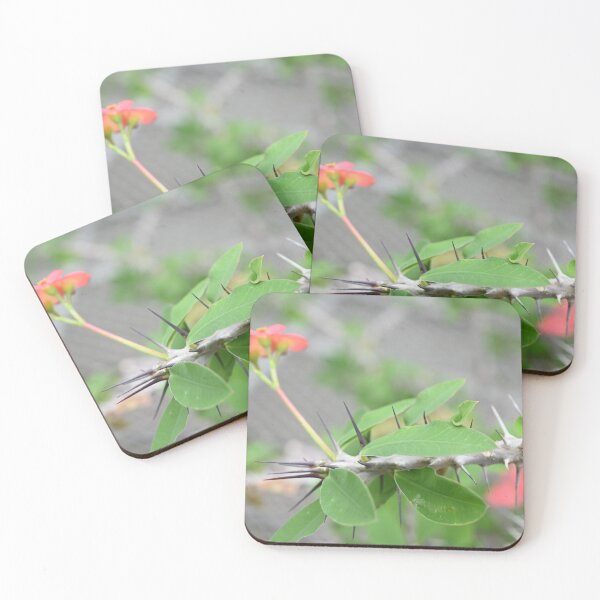 Item preview, protection designed and sold by earlseccentrics.