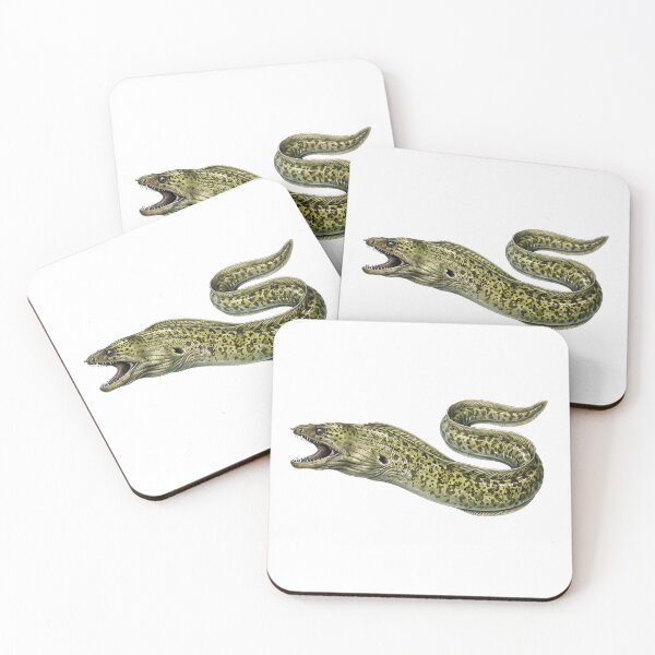 Item preview, Illustration of a green moray eel (Gymnothorax funebris) designed and sold by Chaoscience.