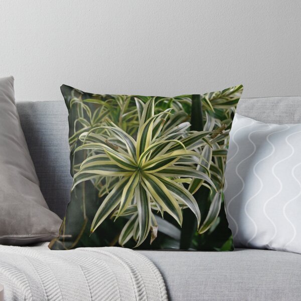 Item preview, spider plant pinwheel designed and sold by earlseccentrics.