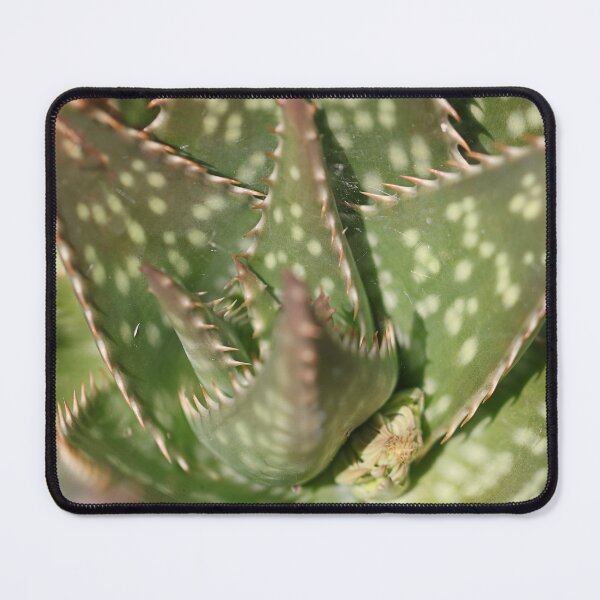 Item preview, Spikes and spots. designed and sold by Paul Pasco.