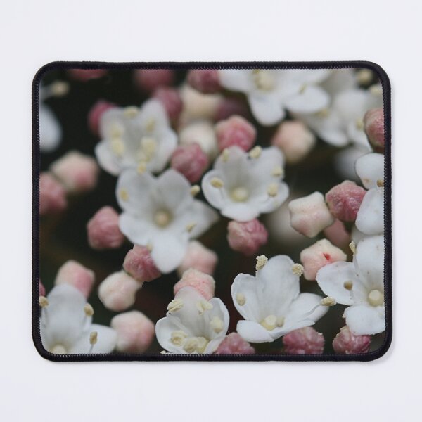 Item preview, A blooming bush. designed and sold by Paul Pasco.
