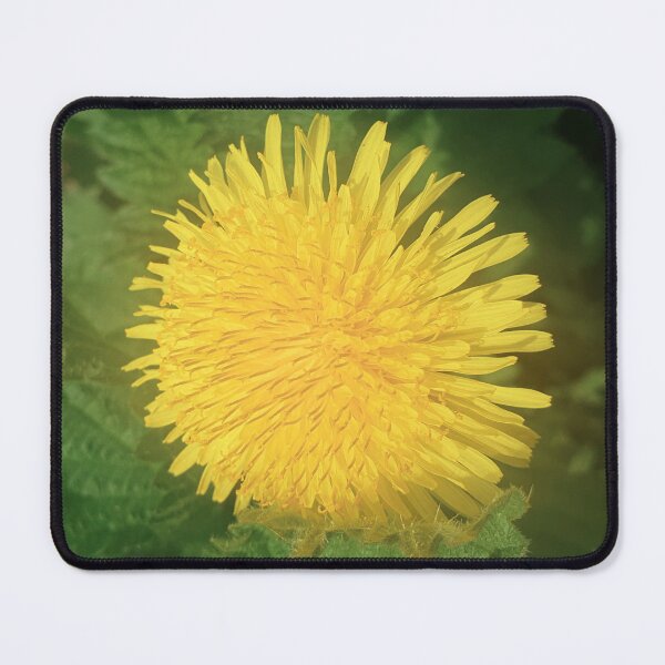 Item preview, Yellow Spring Dandelion Flower. designed and sold by Dinasshop.