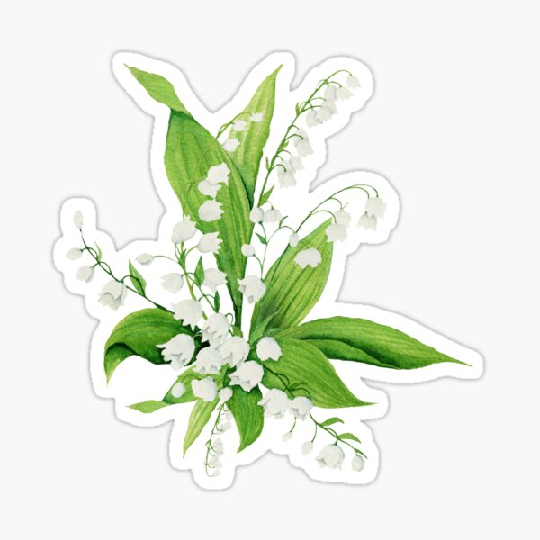 White Lily of the Valley Sticker