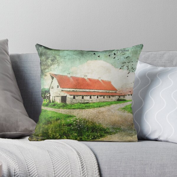 Tin Red Roof Throw Pillow