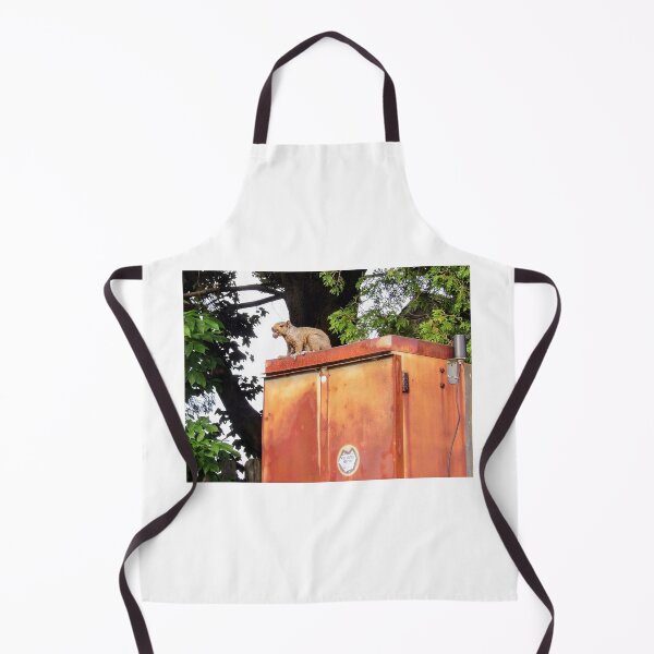 Item preview, Hey you come back! designed and sold by Jessica Osborn.