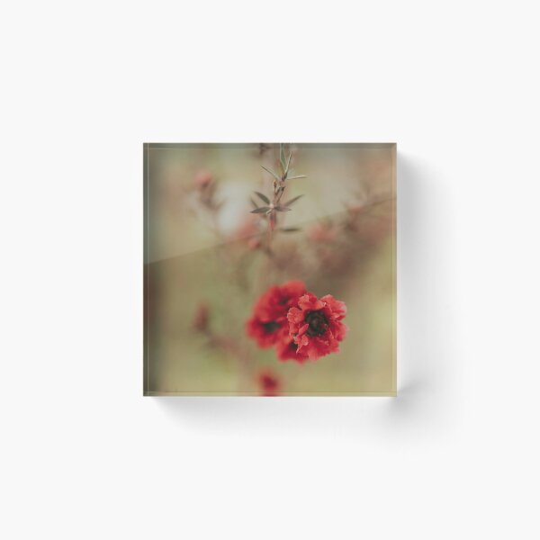 Item preview, Golden Pollinator designed and sold by Desain13.