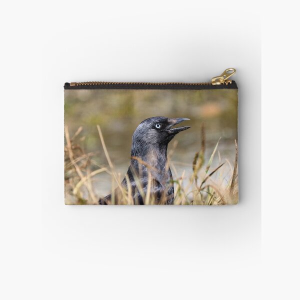 Item preview, Jackdaw squawk designed and sold by GreyFeatherPhot.