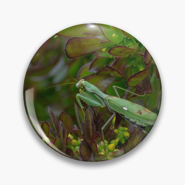 Item preview, Spring Pollination Moment designed and sold by Desain13.