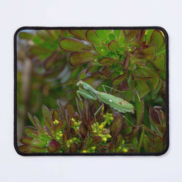 Item preview, Spring Pollination Moment designed and sold by Desain13.