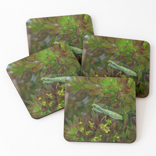 Item preview, Spring Pollination Moment designed and sold by Desain13.