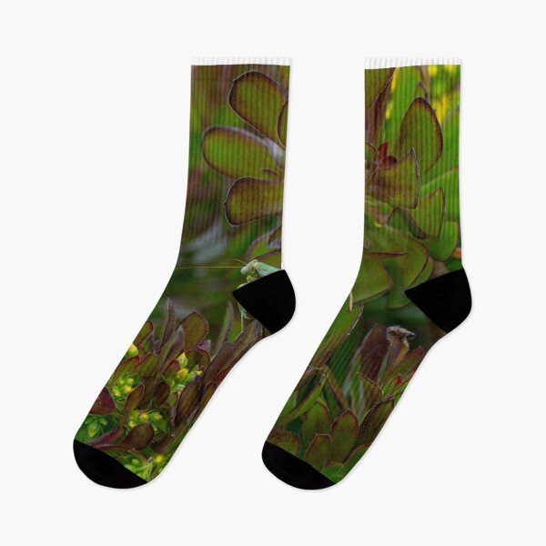 Item preview, Spring Pollination Moment designed and sold by Desain13.