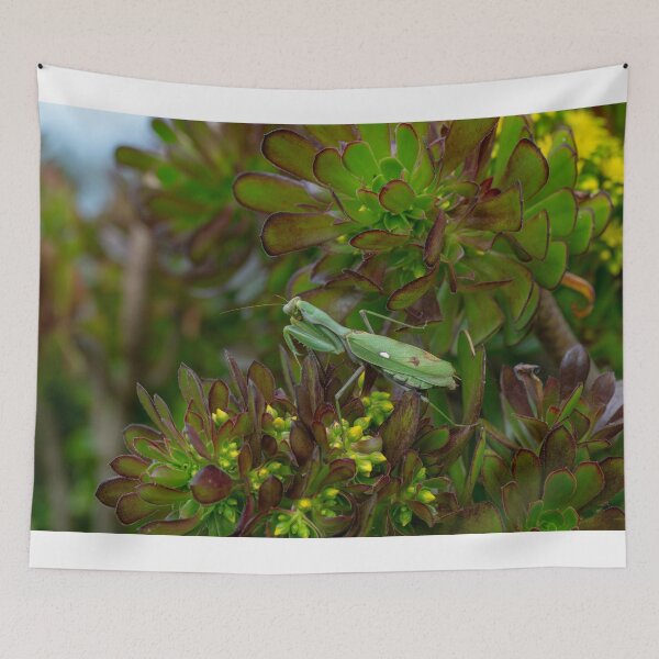 Item preview, Spring Pollination Moment designed and sold by Desain13.