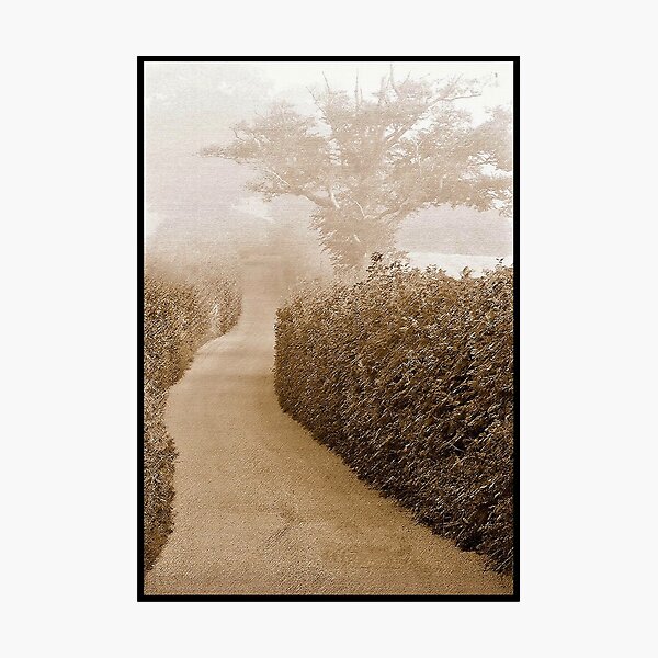 Item preview, Road to Talaton designed and sold by Mike  Waldron.