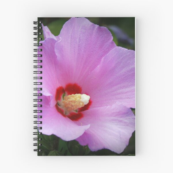 Item preview, Flamboyant designed and sold by Claude Johnson.