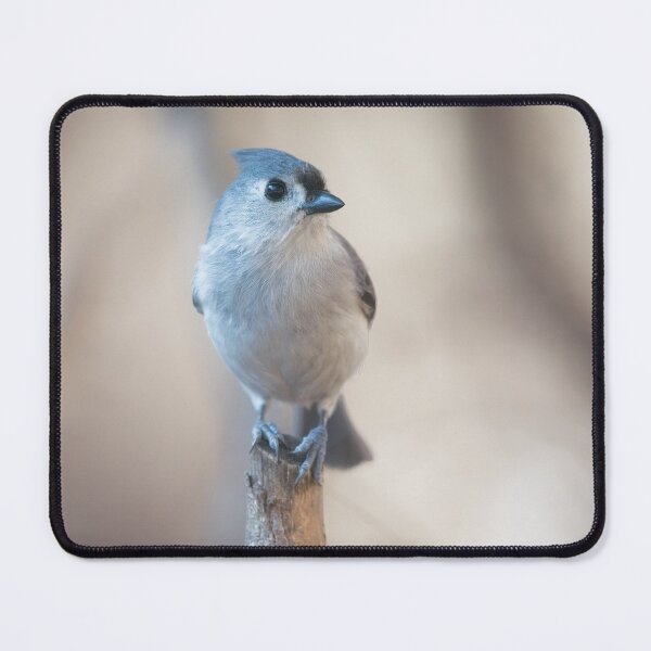 Item preview, Titmouse designed and sold by TomCPhoto.