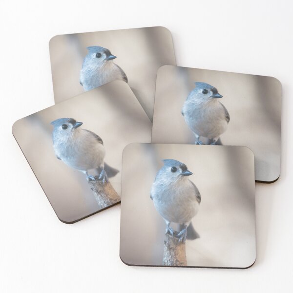 Item preview, Titmouse designed and sold by TomCPhoto.