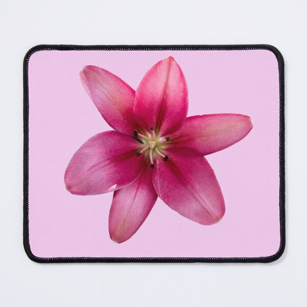 Item preview, Pink lily from above designed and sold by KRFNatureGifts.