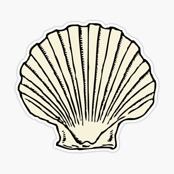 Black Clam Scallop Seashell Art Print for Sale by BlackStarGirl