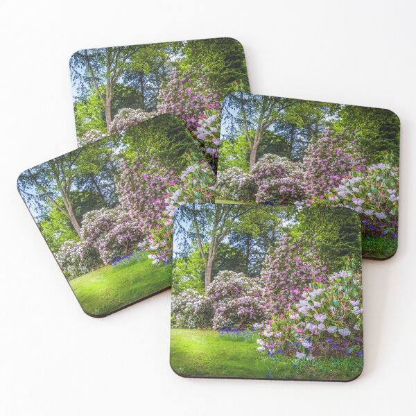Artikelvorschau, Frühling im Westonbirt Arboretum entworfen und verkauft von Viv Thompson Photography .