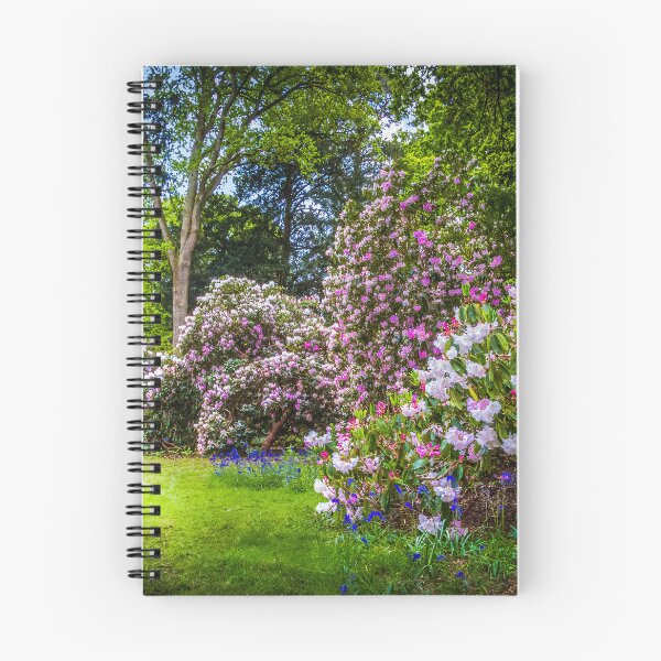 Aperçu de l'œuvre Le printemps à l'arboretum de Westonbirt créée et vendue par Viv Thompson Photography .