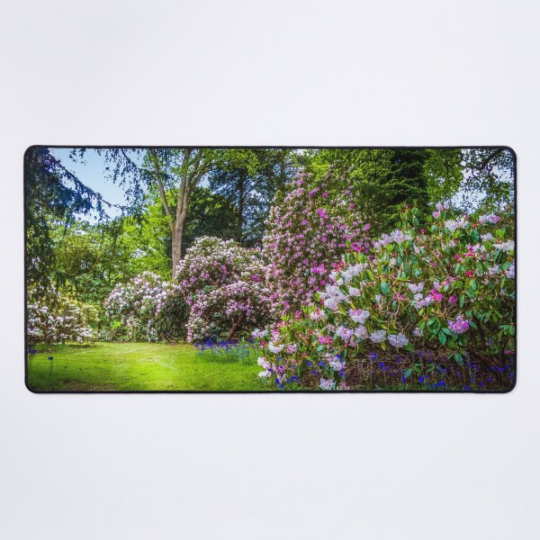 Item preview, Springtime at Westonbirt Arboretum designed and sold by Viv Thompson Photography .