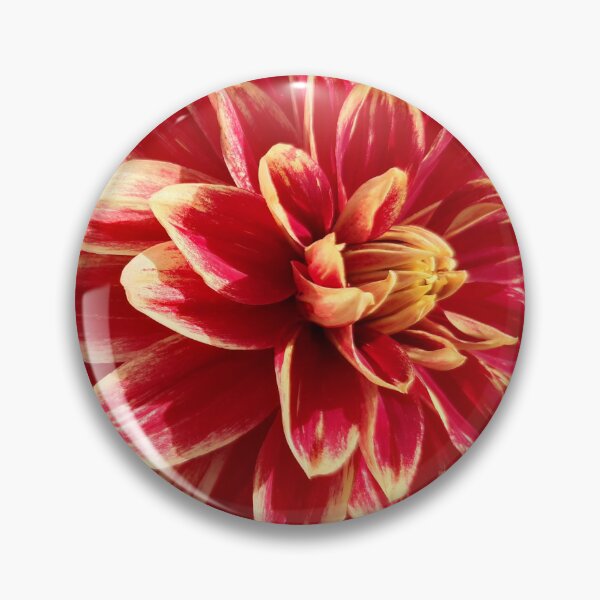 Item preview, Bicolor dahlia bloom designed and sold by pixperienz4u.