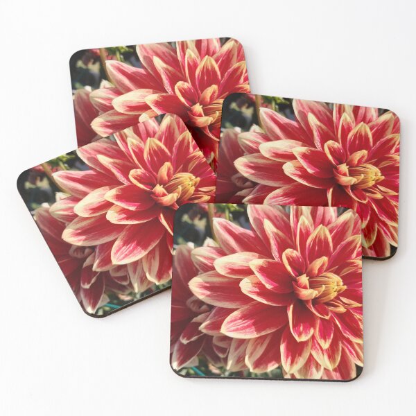 Item preview, Bicolor dahlia bloom designed and sold by pixperienz4u.